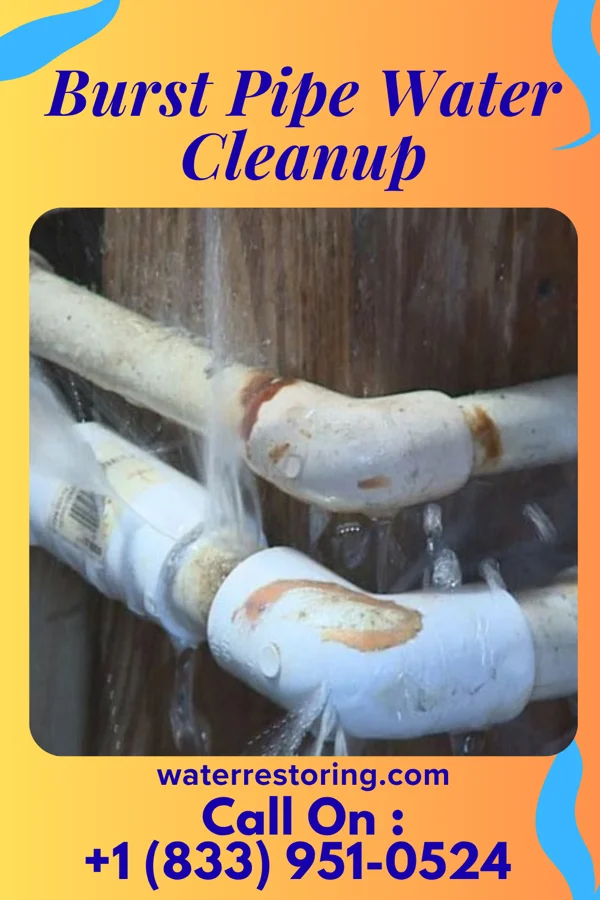 Burst Pipe Water Cleanup in Melrose, MN