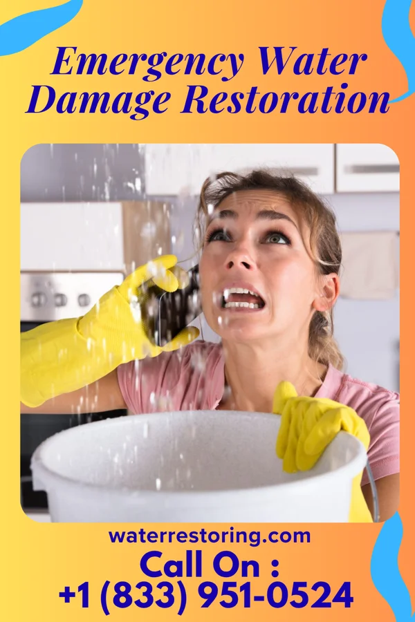 Emergency Water Damage Restoration in Melrose, MN