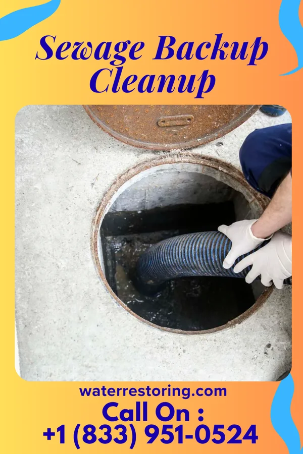 Sewage Backup Cleanup in Melrose, MN