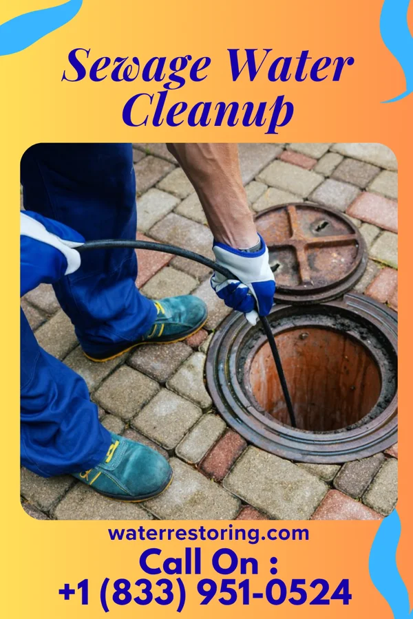 Sewage Water Cleanup in Melrose, MN