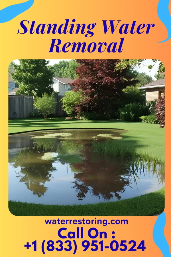 Standing Water Removal in Melrose, MN